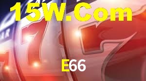 Premium Interface E66